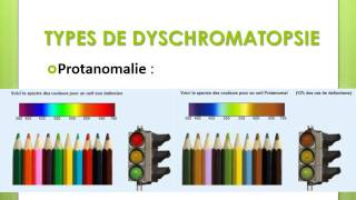 BIOPHYSIQUE Les Dyschromatopsies [upl. by Annaiv]