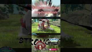 Shiny Alpha Hisuian Ursaluna Signature Move Headlong Rush in Pokemon Legends Arceus [upl. by Evette350]