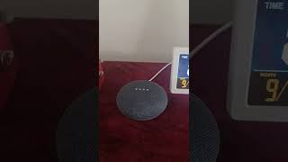 google Nest mini [upl. by Corbet]