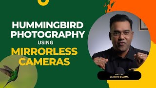 Hummingbird Photography Using Mirrorless Cameras  Do we still need Multiflash setups [upl. by Sheply]