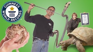 Largest Reptile Zoo  Guinness World Records [upl. by Bonn]