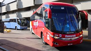 Nova Rodoviária de São José do Rio Preto  Movimentação de Ônibus [upl. by Jarin]