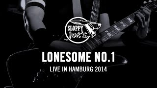 Sloppy Joes  Lonesome No1 Live 2014 [upl. by Koa]