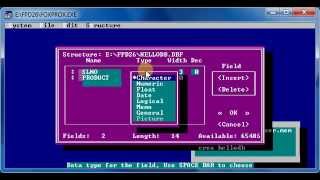 Foxpro Basic Commands [upl. by Russon579]