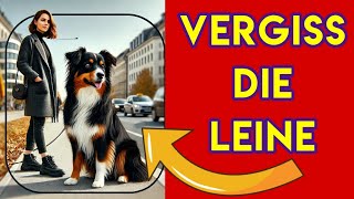 Mit dem Hund SICHER überall ohne Leine laufen⁉️ Mit diesem TRICK klappt es 🐶👍 [upl. by Tnerual]