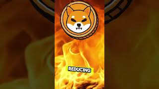 Shiba Inu Price Prediction 2025 shorts ytshorts short youtubeshort [upl. by Adrell740]