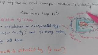 Influenza Virus  Laboratory Diagnosis [upl. by Yelhak169]