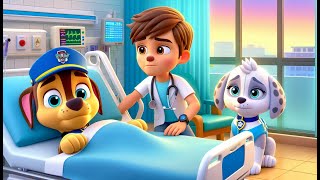 Paw Patrol Ultimate Rescue  Chase is sick Marshall is SO SAD  Very Funny Story  Rainbow 3 [upl. by Htepsle]