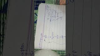 Regulation of saliva secretion by Mehwish Sajid [upl. by Ibby953]