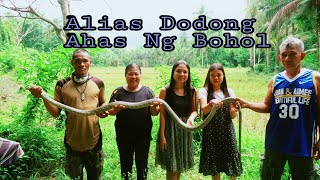 King Cobra Killed Our Grandpa Kasama Namin Si Alias Dodong Ahas Ng Bohol Sa Paghahanap Ng quotBANAKONquot [upl. by Lucina]