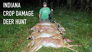 6 deer in 2 hours 2023 Depredation Hunt [upl. by Michey]