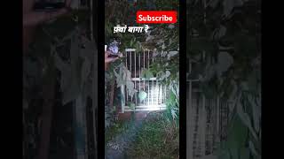 Fwa Baga re short shortvideo uttarakhand pahadi shorts mei hu uttrakhandi [upl. by Annaek396]