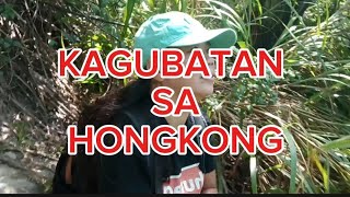 HIKE AT SHOUSON HILL HONGKONG viralvideo [upl. by Ahsitahs]