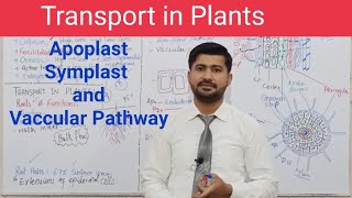 Transport In Plants  Water Movement  Water Uptake in root  Root Pressure  Section 13 [upl. by Golliner143]