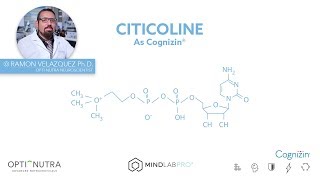 Cognizin® Citicoline with Dr Ramon Velazquez PhD  Mind Lab Pro® [upl. by Figone]