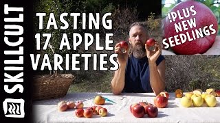 Tasting 17 Apple Varieties and New Seedlings Ripening [upl. by Sumaes]