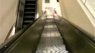 Store Demolished Slow Westinghouse Escalators at Sears  Jefferson Mall [upl. by Olette]