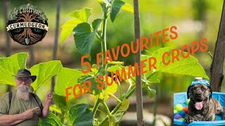 Top 5 Summer Crops You NEED to Plant [upl. by Krever254]