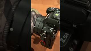 D500 Replacement [upl. by Taimi]