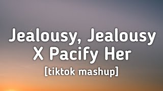 Jealousy Jealousy X Pacify Her tiktok mashup Lyrics [upl. by Hluchy]