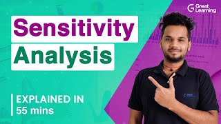 Sensitivity Analysis  Types of Sensitivity Analysis  Great Learning [upl. by Melgar]