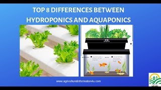 TOP 8 DIFFERENCES BETWEEN HYDROPONIC AND AQUAPONIC SYSTEMS [upl. by Junette]