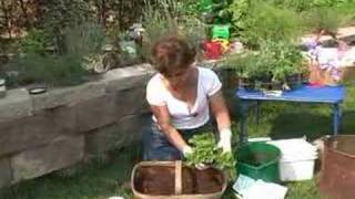 Container Gardening Container Herb Garden [upl. by Ahseena]