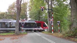 Jernbaneoverskæring Vedskølle Spoorwegovergang Level Crossing Passage a Niveau Bahnübergang [upl. by Siurtemed63]