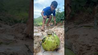 Survival Skills SIMPLE and USEFUL with winter melon bushcraft camping outdoors [upl. by Tegdig]