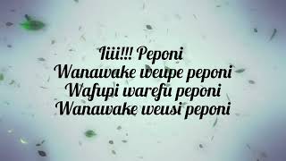 PEPONI LYRICS VIDEO [upl. by Hnil]