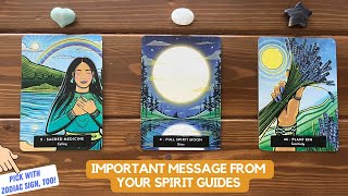 Important Message From Your Spirit Guides  Timeless Reading [upl. by Zetnom]