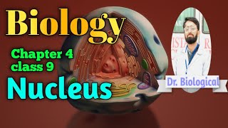 Biology Chapter 4  Cell Organelles  Cell Nucleus  nucleolus amp Chromosomes  biology class 9 [upl. by Celle634]