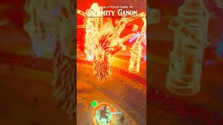 CALAMITY GANON BOSS FIGHT zelda botw nintendo shorts [upl. by Norrej]