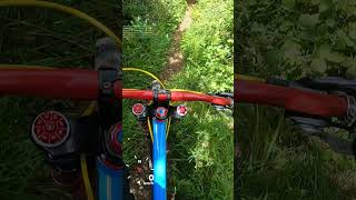 🚵‍♂️ 🌲😱 MTB Downhill Adventure on Bushy Curvy Trail TOP 40kph [upl. by Undis]