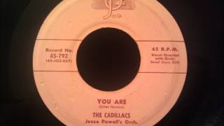 Cadillacs  You Are  Beautiful Doo Wop Ballad [upl. by Hoover]