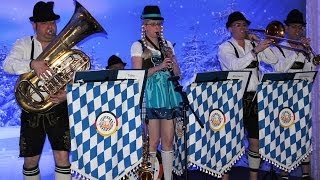 Bavarian quotoompahquot Band [upl. by Artinad]