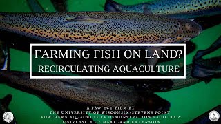 Farming Fish on Land Recirculating Aquaculture [upl. by Westfall992]