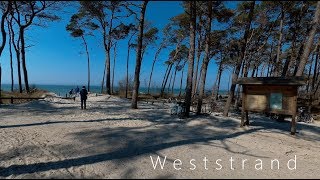 Ostsee und Darß  Halbinsel Fischland  Darß  Zingst  Darßerort und Weststrand  Balticsea [upl. by Grew]