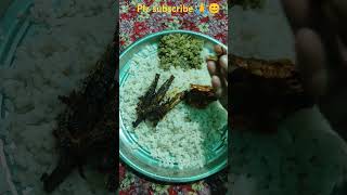 Todays Lunch 😋 mathi meals sardine fish meals mathi varthathmathi mulakidath and mathi peera 🤤🤤🤤 [upl. by Selinda]