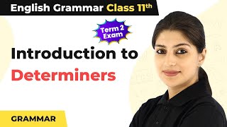 Class 11 English Grammar  Introduction to Determiners [upl. by Sigismondo]