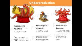 Anemias Picmonic Medicine Webinar [upl. by Milissent515]