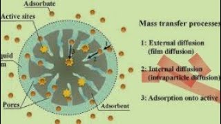 Fitting or tailoring or modelling of data onto non linear intraparticle diffusion model [upl. by Ennayelhsa]