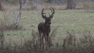 Hunting DVD Trailer  End Of The Road Outdoors [upl. by Anayeek]