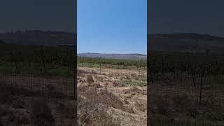 Biblical Elah Valley  Battle place of David amp Goliath  With Celebrity Star Tal Oran [upl. by Xed]