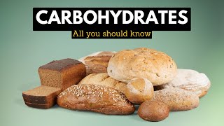 Carbohydrates Everything You Need To Know [upl. by Lupita]