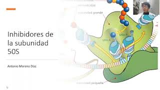 Antibióticos Inhibidores de la subunidad ribosomal 50S [upl. by Ashjian]