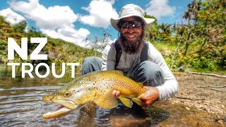 Fly Fishing New Zealand  Backcountry  Dry Flys [upl. by Esilrac]