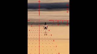 ACSS APOLLO reticle [upl. by Radferd]