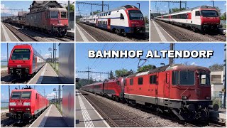 Züge beim Bahnhof Altendorf  Trains at Altendorf station 2024 [upl. by Ilam]