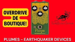 Plumes Overdrive  EarthQuaker Devices [upl. by Anastasia]